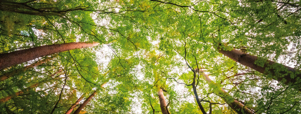 Découvrez notre programme d’activités Nature !