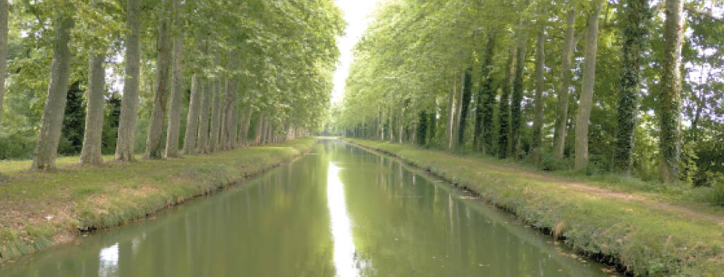 Autour de Bessais-le-Fromental : découvrez le Canal de Berry